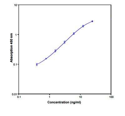 ELISA: MMP-9 ELISA Kit [Biotin] [NBP1-82422] - Standard curve